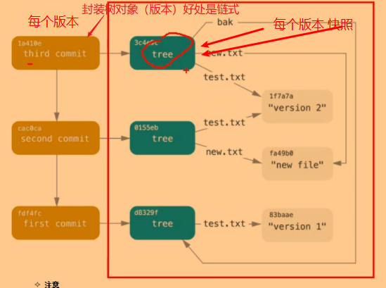 image-20210228215300506